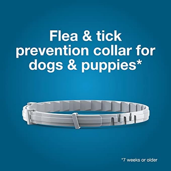 Seresto Flea & Tick Collar For Dogs Over 18 lbs., Treatment & Prevention, Vet-Recommend, 8 Month Protection