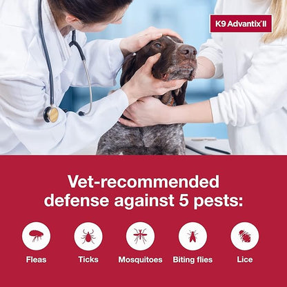K9 Advantix II XL Dog Vet-Recommended Flea, Tick & Mosquito Treatment & Prevention  Dogs Over 55 lbs.  6-Mo Supply
