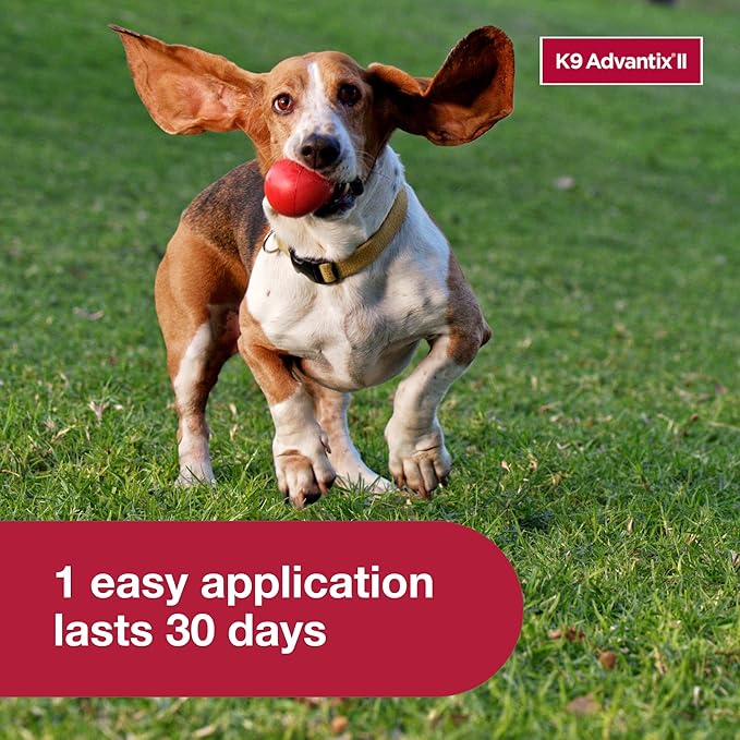 K9 Advantix II Flea and Tick Treatment for Medium Dogs 11-20lbs ,6 Doses