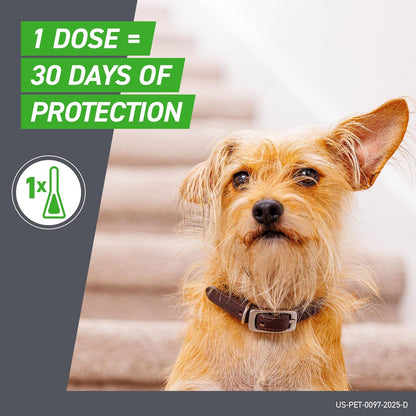 Frontline Plus Flea and Tick Treatment for Small Dogs 5-22 LBs 6 Doses